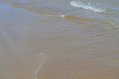 DSC_0181
