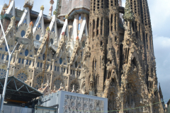 DSC_0275